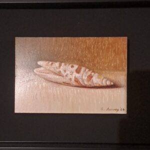 Schilderij van een Stilleven Schelp